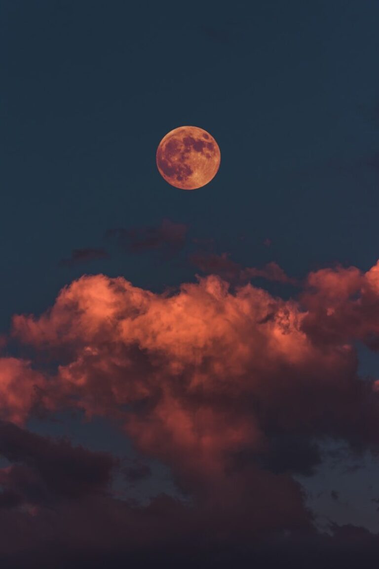 Photo by Altınay Dinç